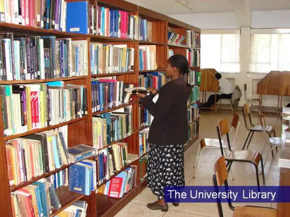 List of Courses Offered at University of Eastern Africa Baraton