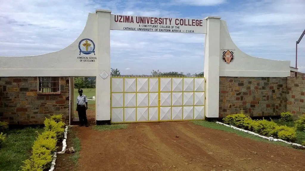 Uzima University College, UUC Student Portal: uzimauniversity.ac.ke