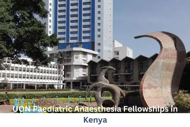 UON Paediatric Anaesthesia Fellowships in Kenya