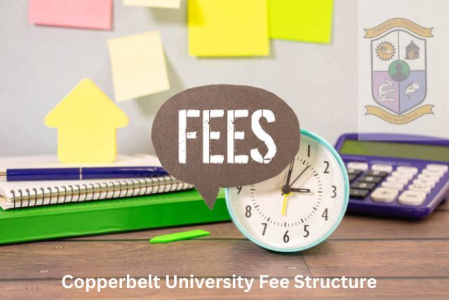 Copperbelt University Fee Structure