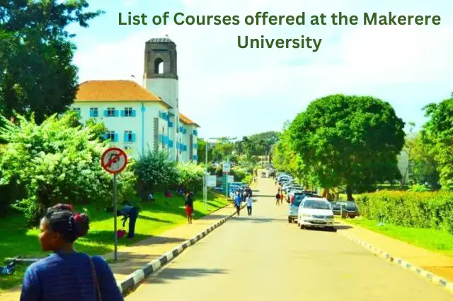 List Of Courses Offered at Makerere University, MAK