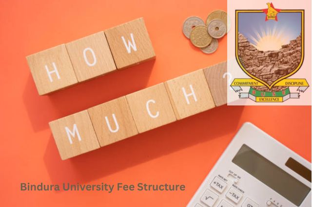 Bindura University Fee Structure