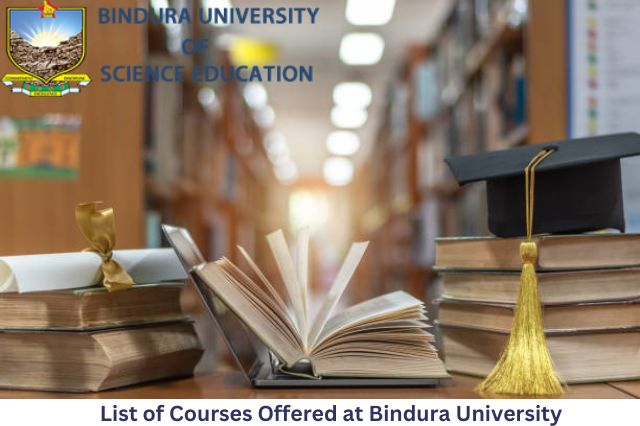 List of Courses Offered at Bindura University