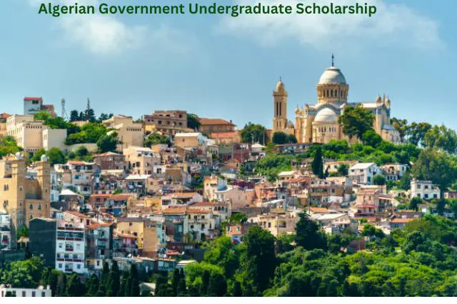 Algerian Government Undergraduate Scholarship 2024/2025 - Explore the