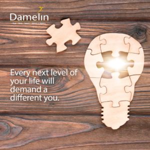 List of Courses Offered at Damelin University: 2024/2025