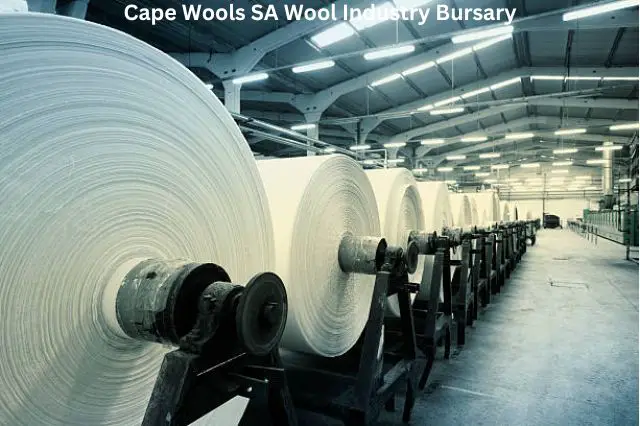 "Cape Wools SA Opens Bursary Applications for 2023-2024 Academic Year"