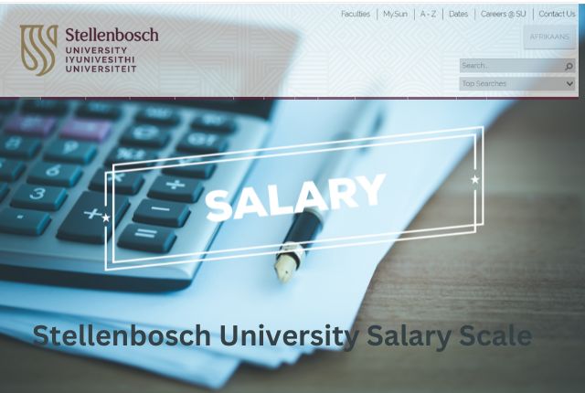 Stellenbosch University Salary Scale