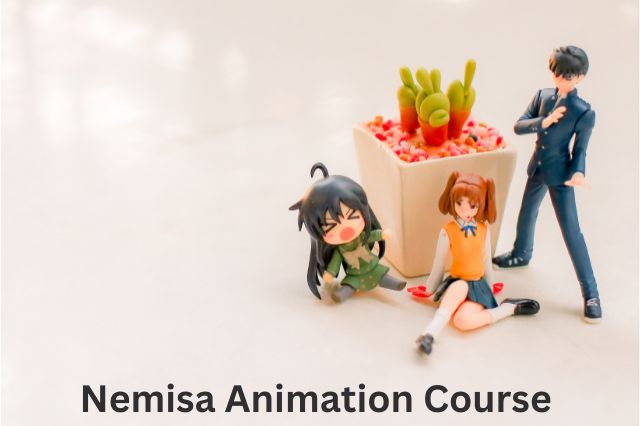NEMISA Animation course
