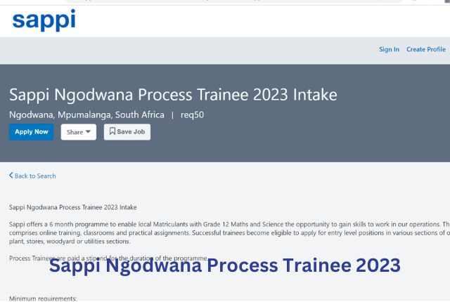 Sappi Ngodwana Process Trainee 2023
