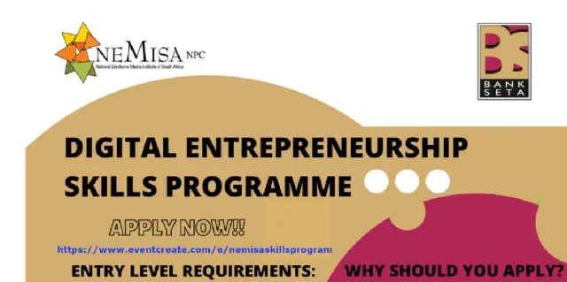 NEMISA Digital Entrepreneurship Skills