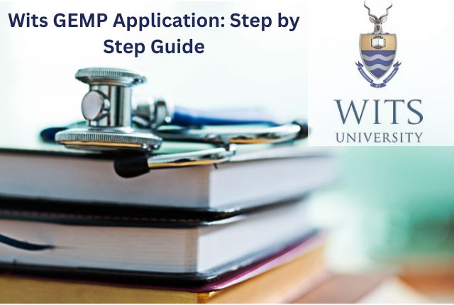 Wits GEMP Application Step by Step Guide