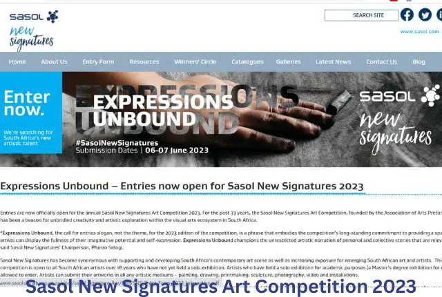 Sasol New Signatures Art Competition