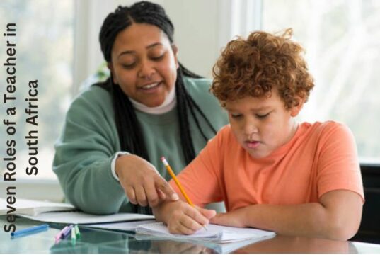 Seven Roles Of A Teacher In South Africa Explore The Best Of South Africa Seven Roles Of A Teacher In South Africa Explore The Best Of South Africa