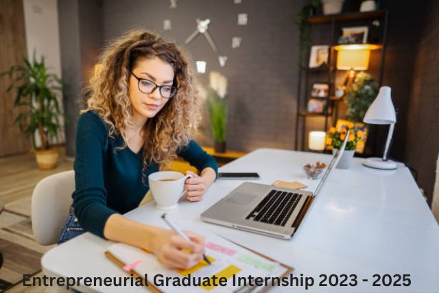 Entrepreneurial Graduate Internship 2023 - 2025