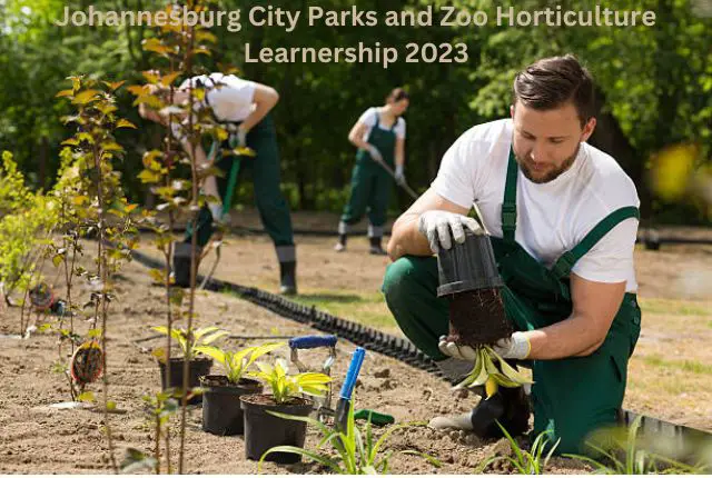Johannesburg City Parks and Zoo Horticulture Learnership 2023