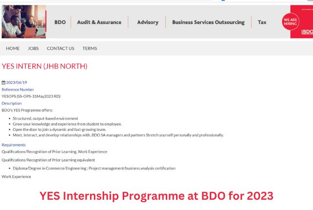 YES Internship Programme at BDO for 2023