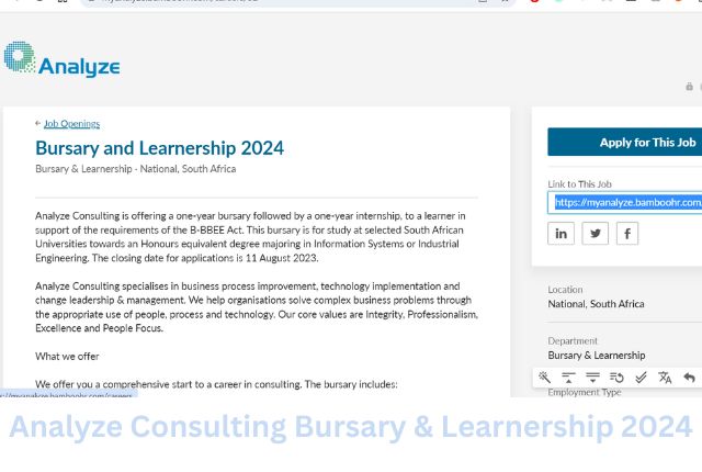 Analyze Consulting Bursary & Learnership 2024