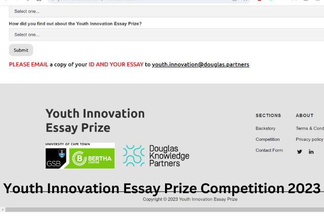 Youth Innovation Essay Prize Competition 2023
