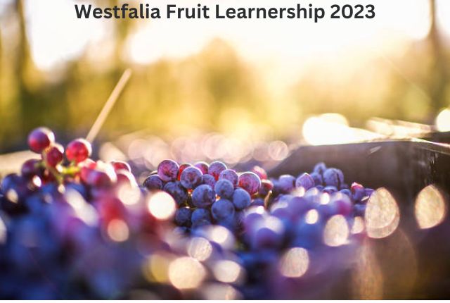 Westfalia Fruit Learnership 2023