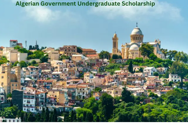 Algerian Government Undergraduate Scholarship