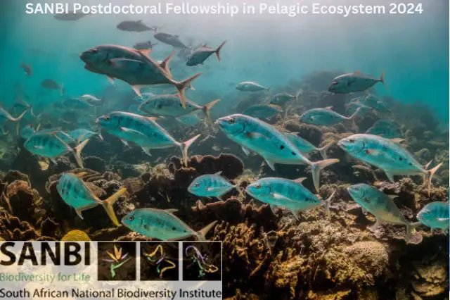 SANBI Postdoctoral Fellowship in Pelagic Ecosystem 2024