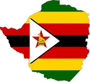 South African Representation Abroad Zambia / Zimbabwe: 2019