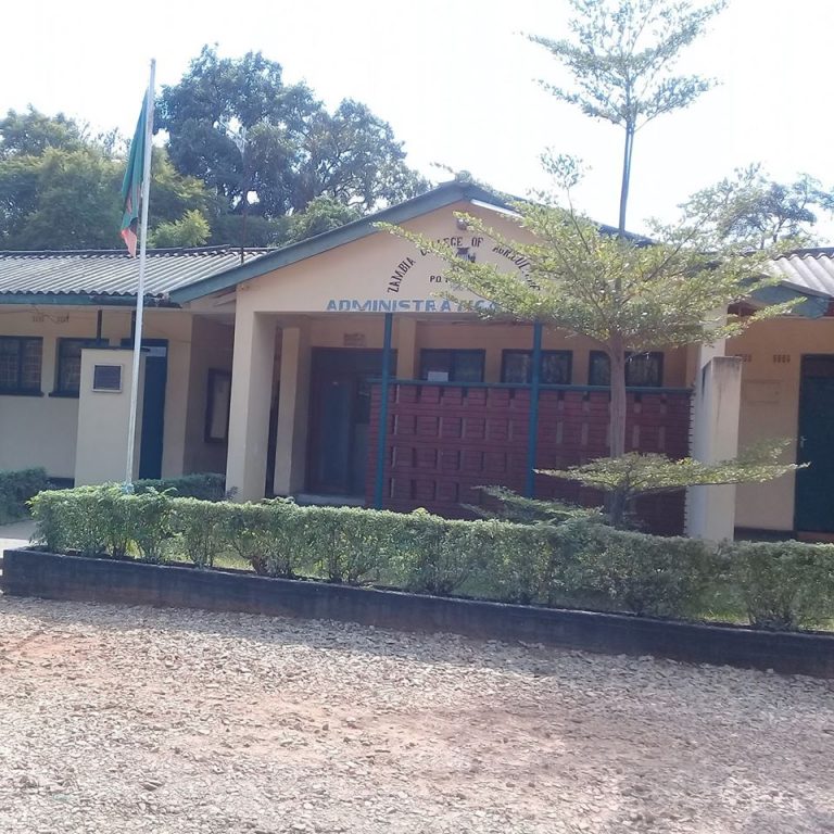 List of Courses Offered at ZCA Monze: 2024/2025